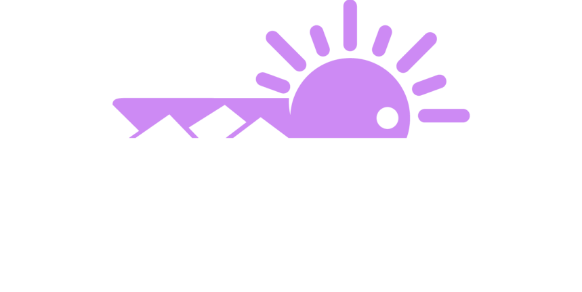 Boulder Abortion Fund